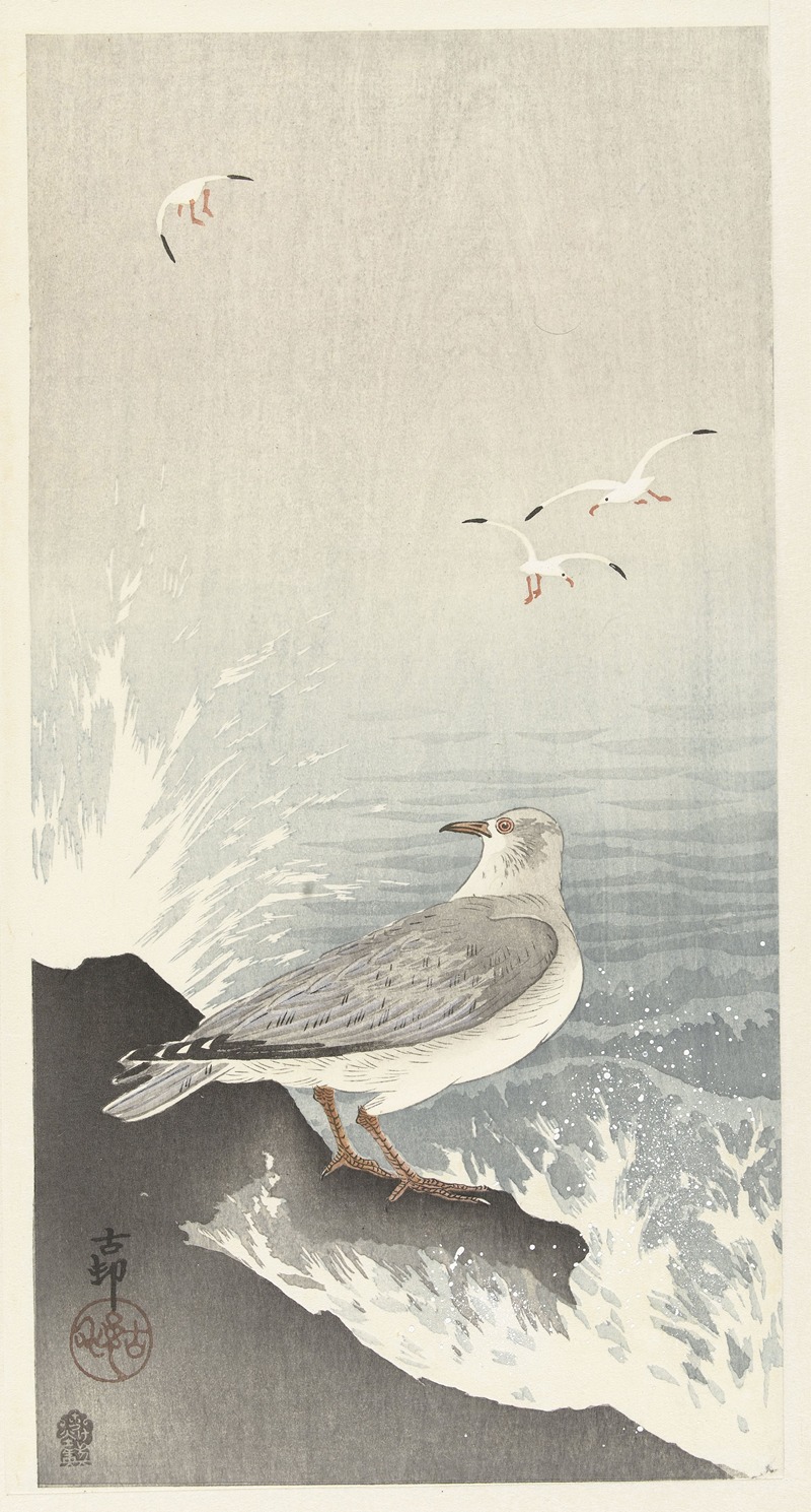 Seagull on rock by Ohara Koson, 1900 - 1910 — digital art print download