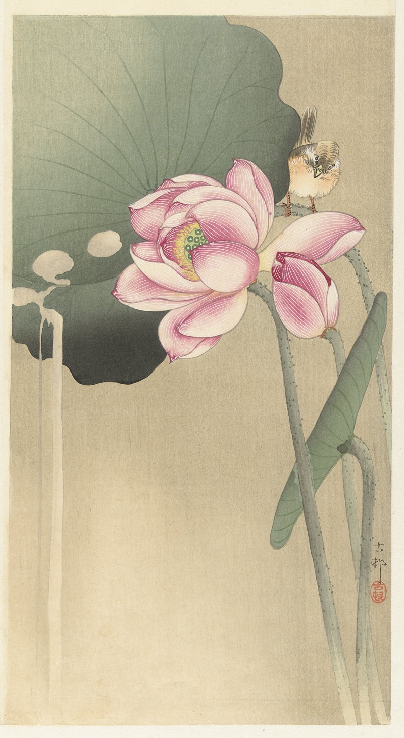 Songbird and Lotus by Охара Косон, 1900 - 1936 — digital art print download