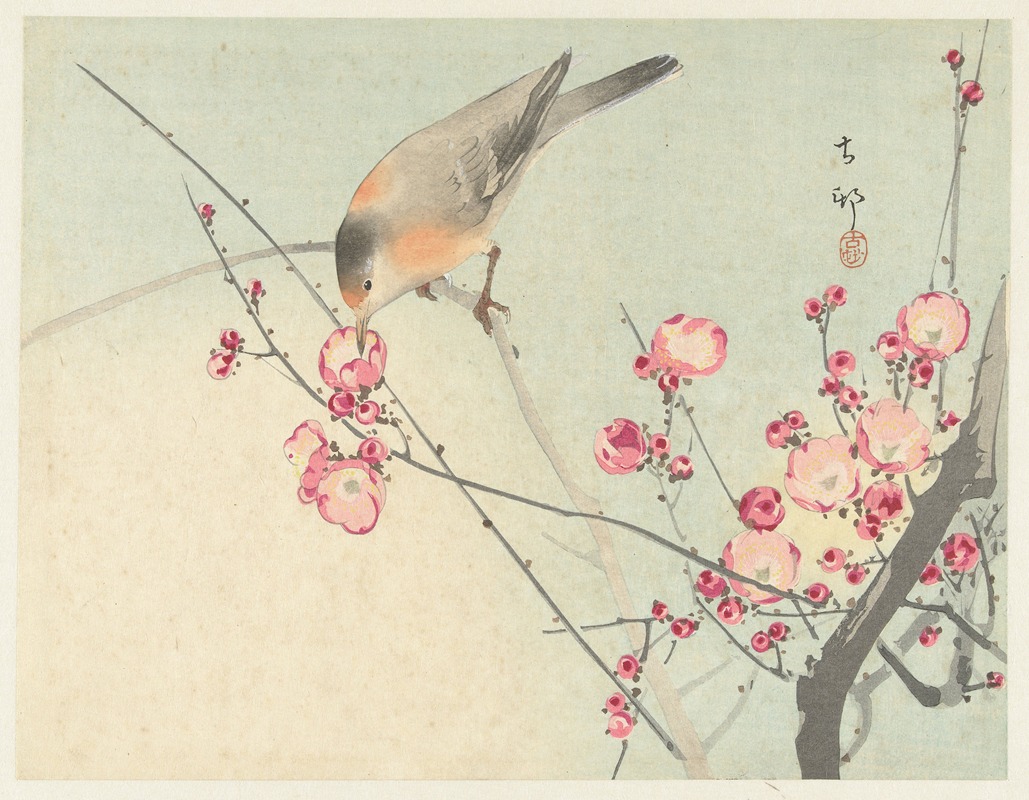 Songbird on blossom branch — Ohara Koson