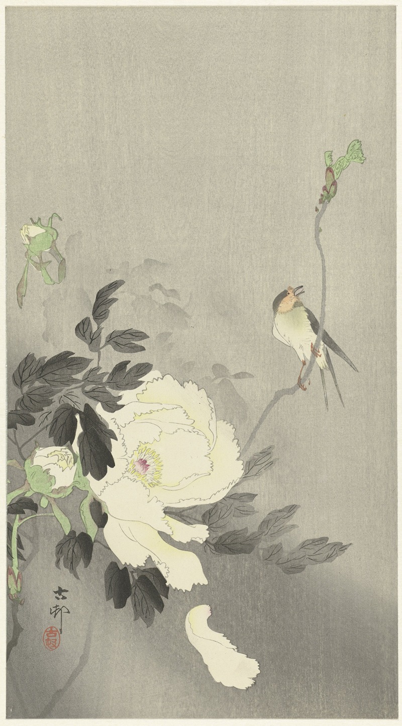 Swallow with Peony by Охара Косон, 1900 - 1930 — digital art print download