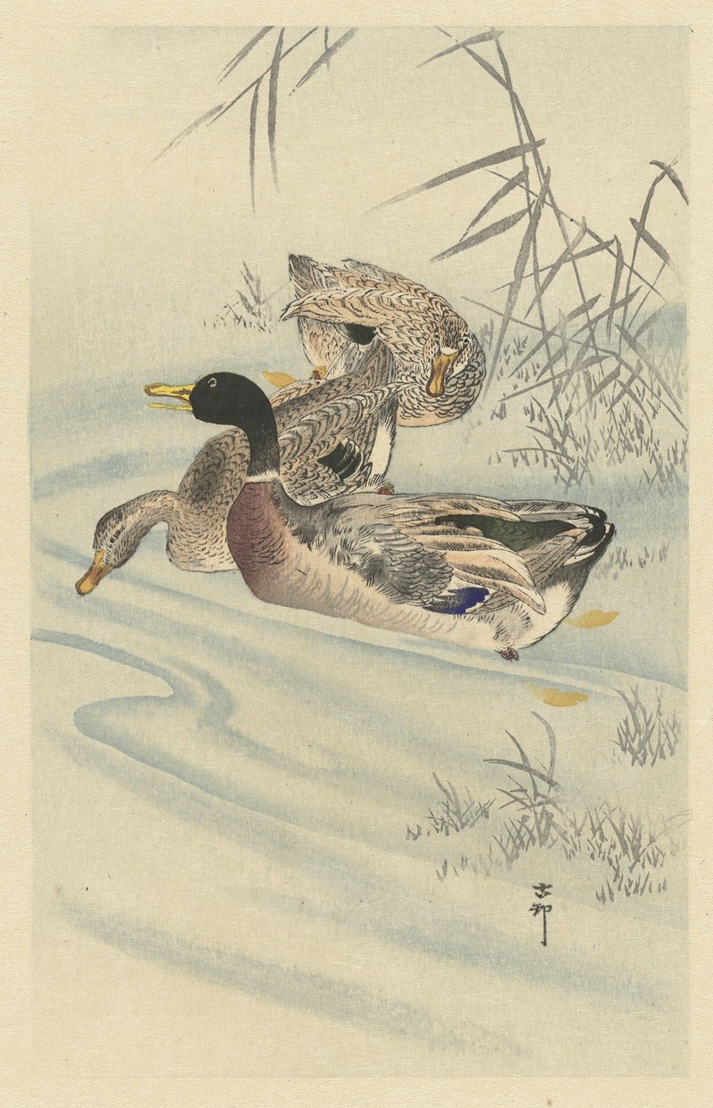 Three ducks in shallow water with reed by Охара Косон, 1900 - 1930 — digital art print download