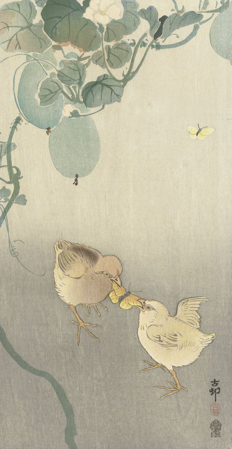 Two chicks fighting for butterfly by Охара Косон, 1900 - 1910 — digital art print download