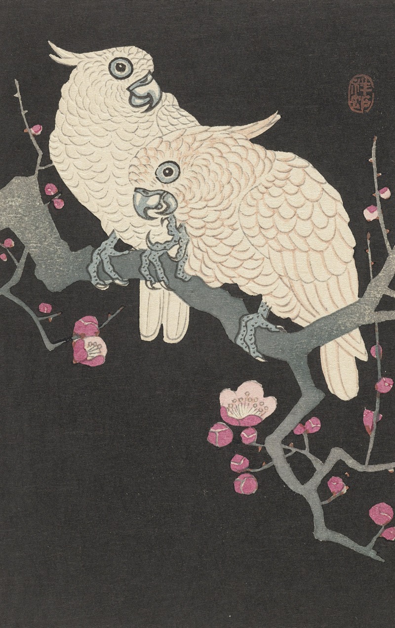 Two cockatoo and plum blossom — Охара Косон