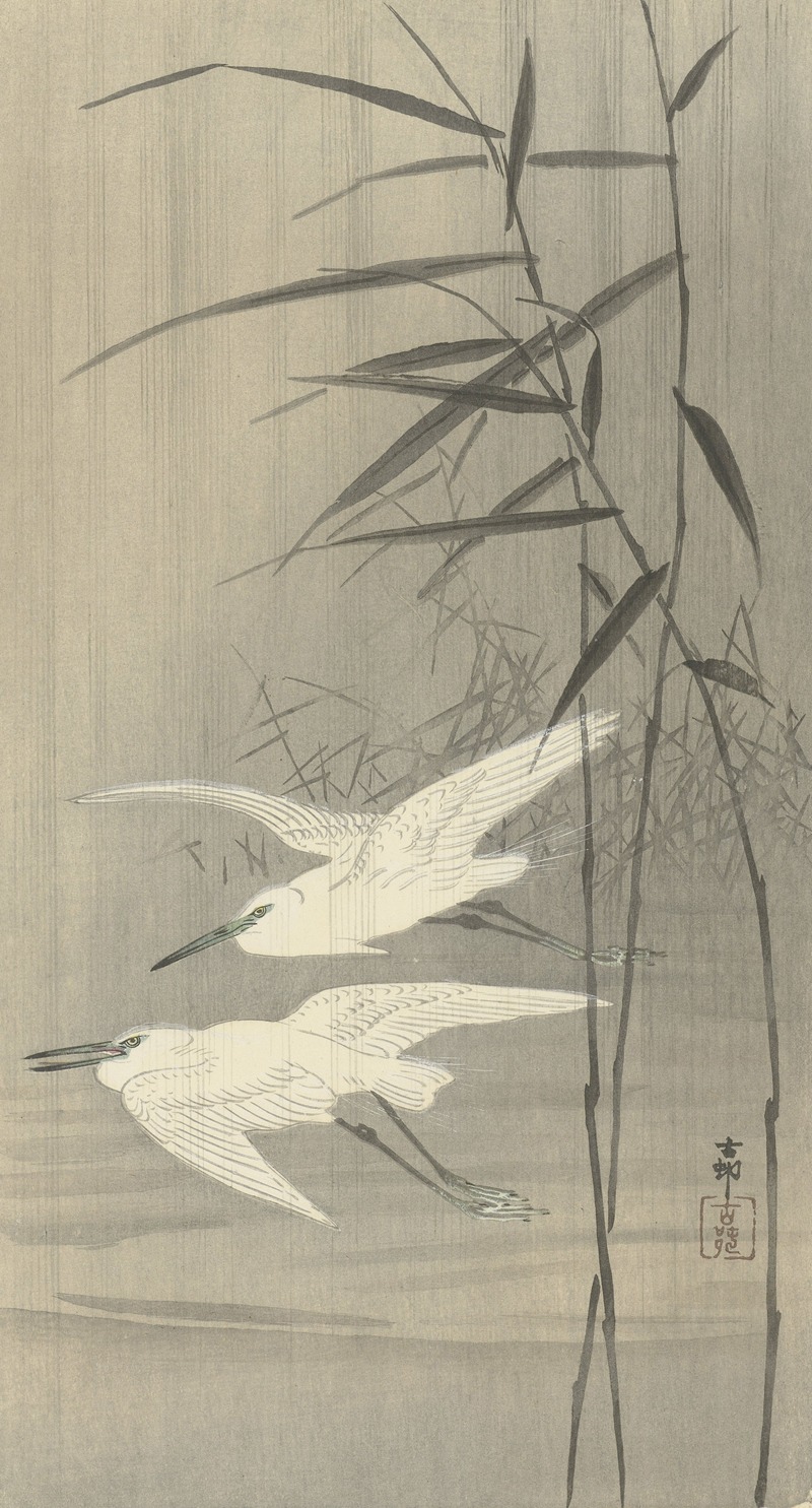 Two egrets in flight by Охара Косон, 1900 - 1936 — digital art print download