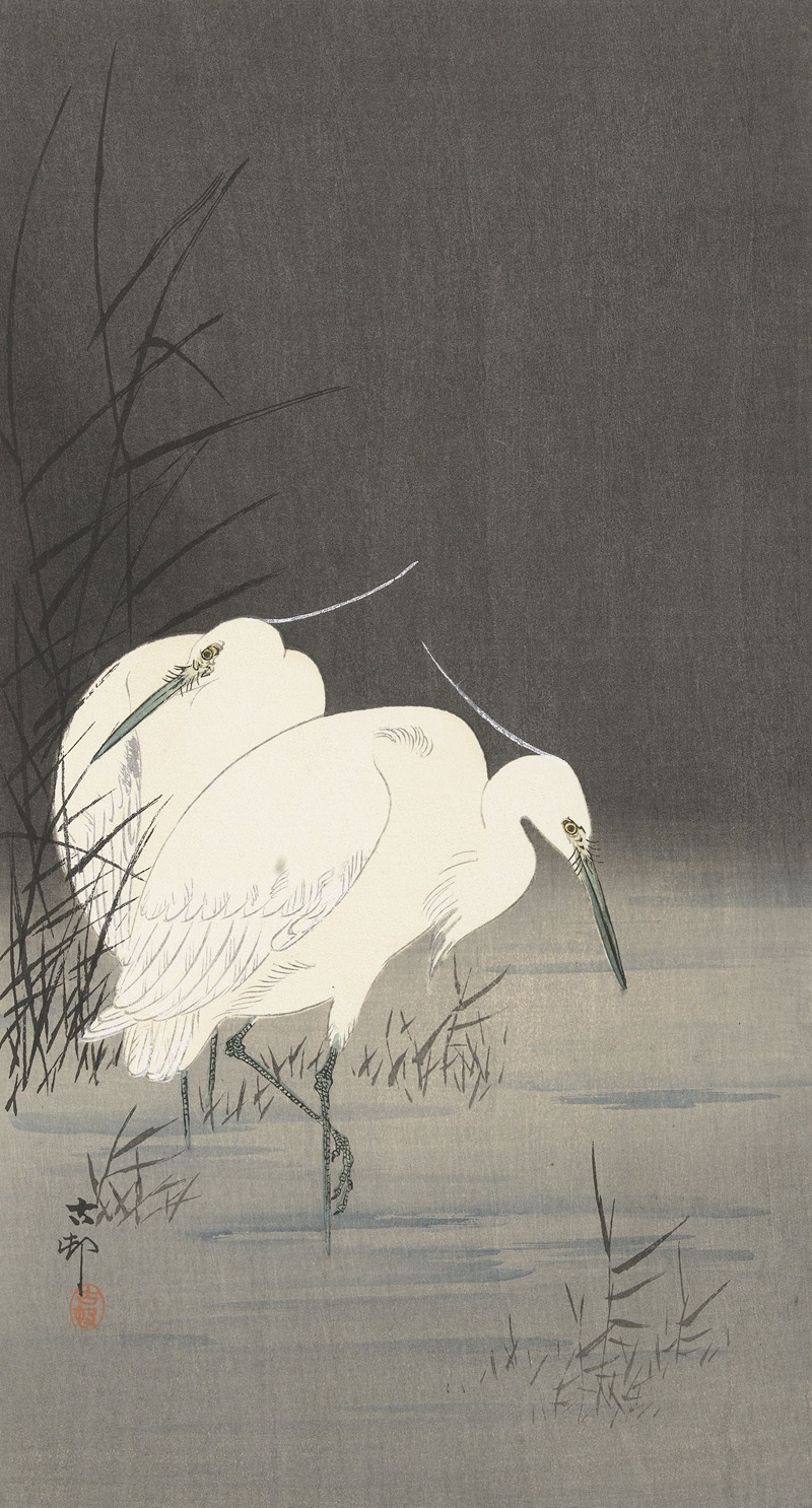 Two egrets in the reeds by Охара Косон, 1900 - 1930 — digital art print download
