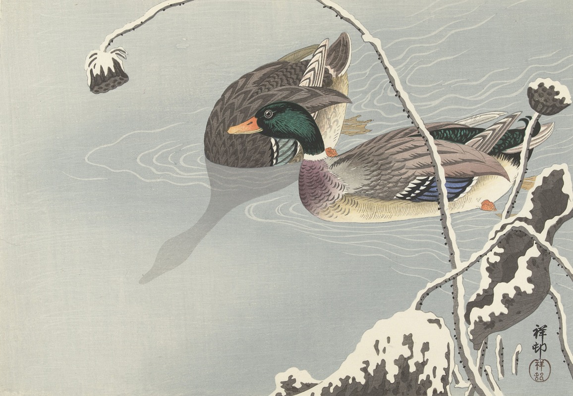 Two Mallards near a Snow-Covered Lotus, — Ohara Koson