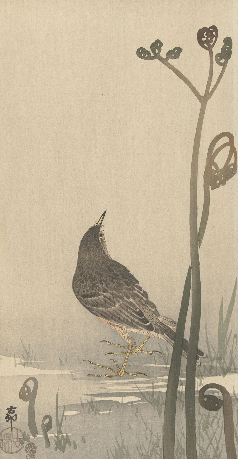 Water squeaker by Охара Косон, 1900 - 1930 — digital art print download
