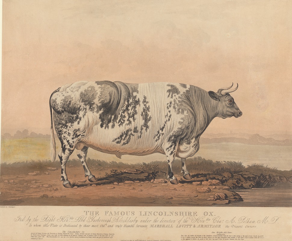The Famous Lincolnshire Ox — James Barenger