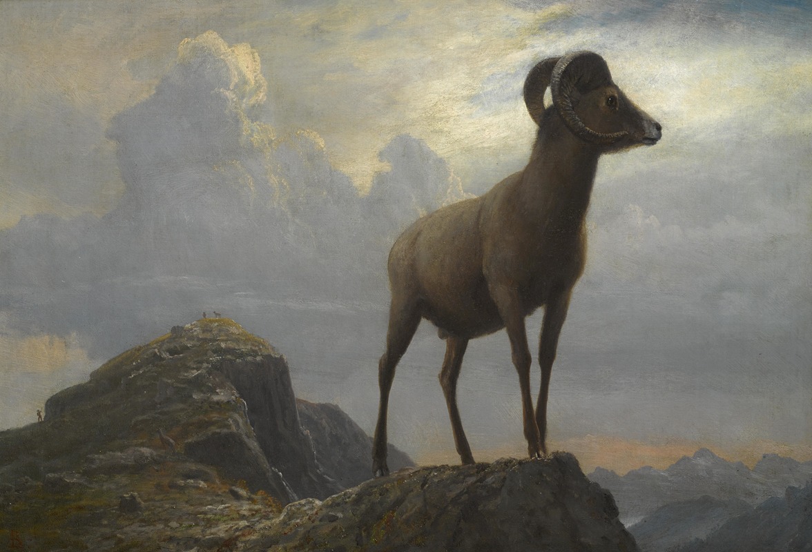 Study Of A Bighorn Ram by Альберт Бирштадт — digital art print download