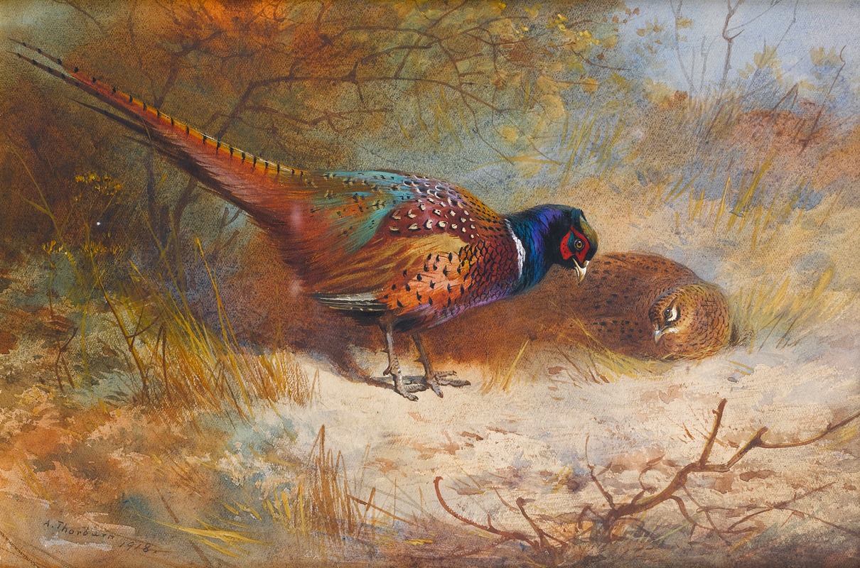 Pheasants by Арчибальд Торберн, 1918 — digital art print download