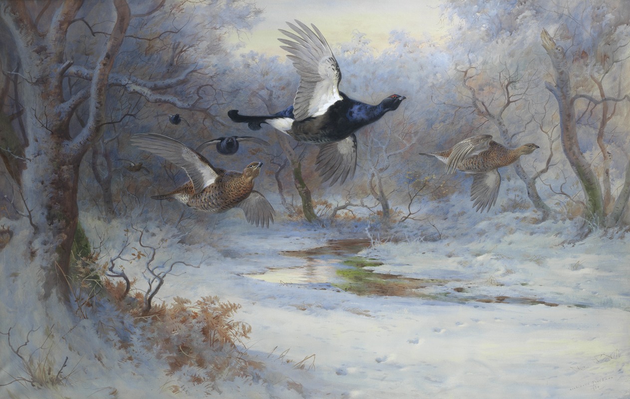 Blackcock And Grouse In Flight – Winter — Archibald Thorburn