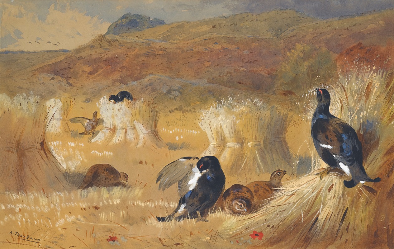 Blackcock In A Field by Арчибальд Торберн — digital art print download
