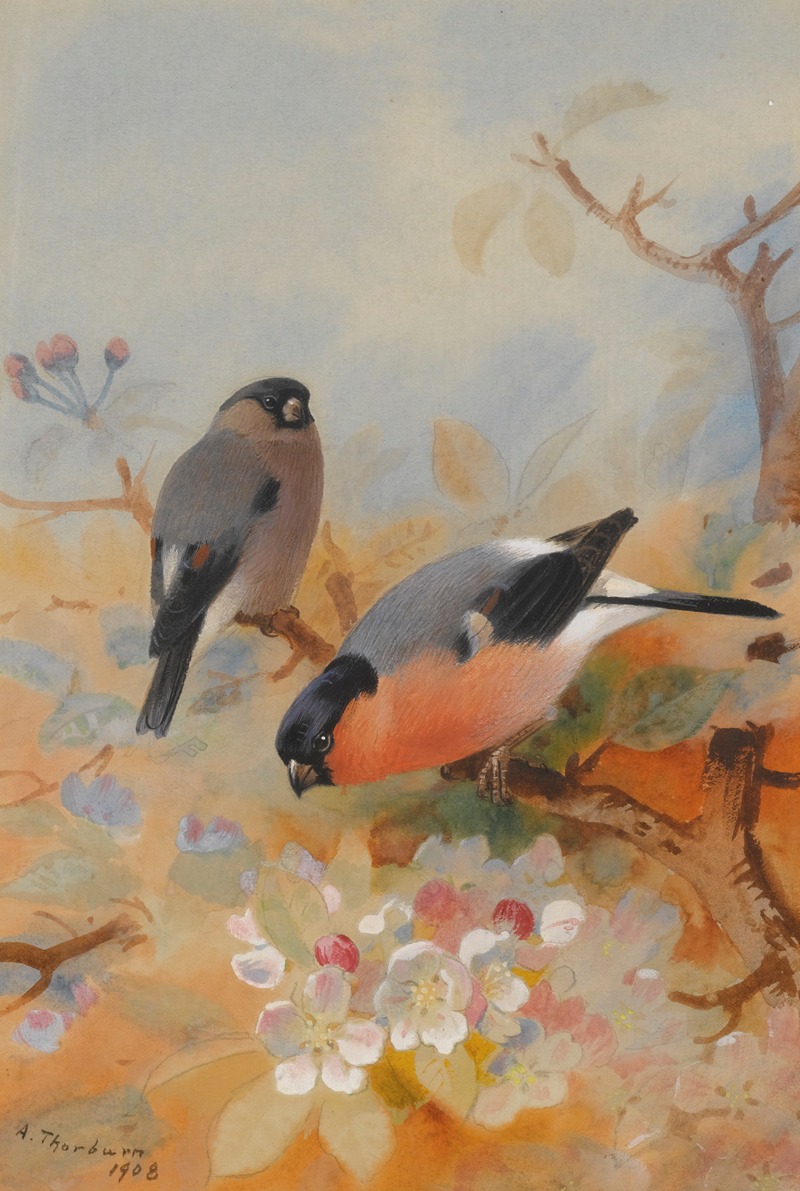 Bullfinches by Арчибальд Торберн, 1908 — digital art print download