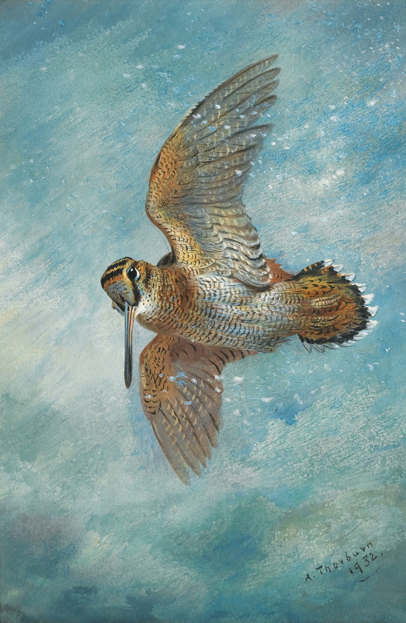 Caught In A Blizzard, Woodcock — Archibald Thorburn
