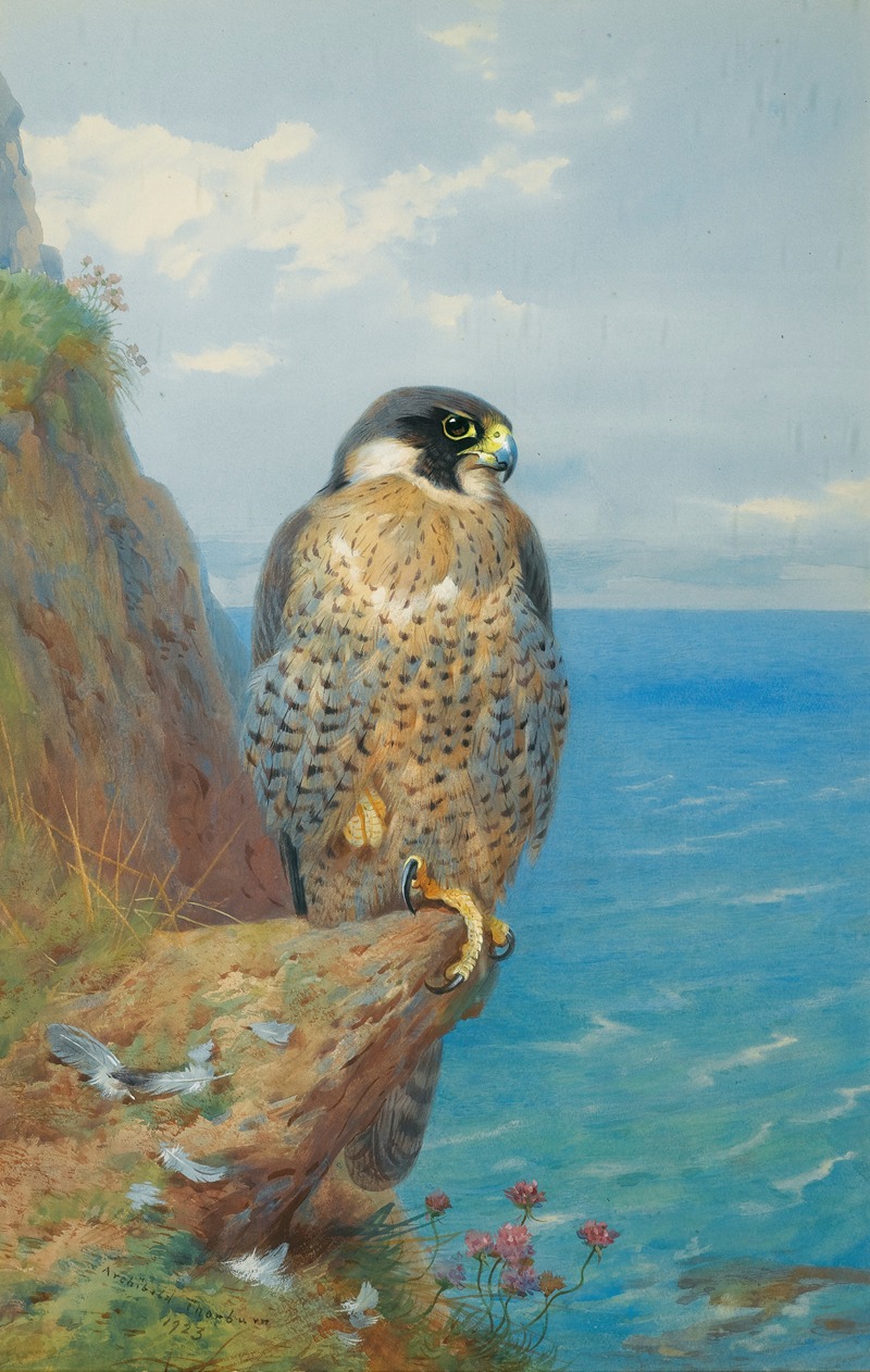 Peregrine At Auchencairn by Арчибальд Торберн, 1923 — digital art print download