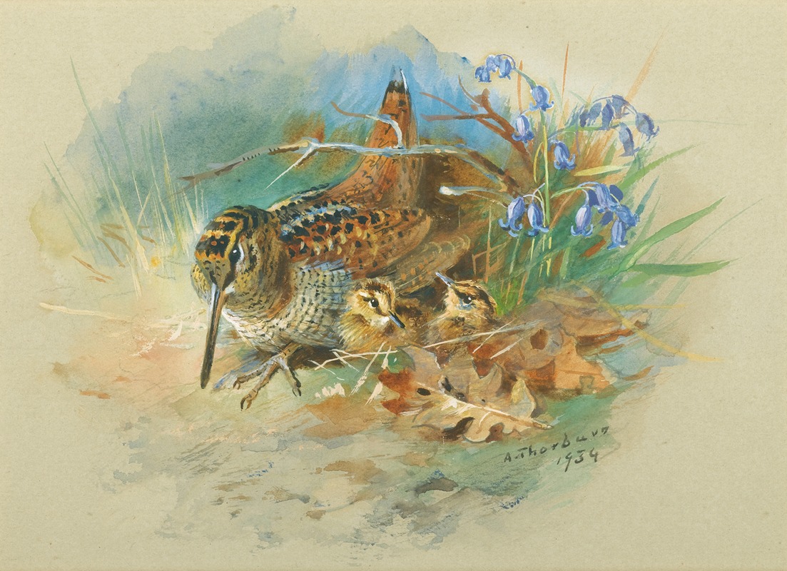 Woodcock and Young by Арчибальд Торберн, 1934 — digital art print download