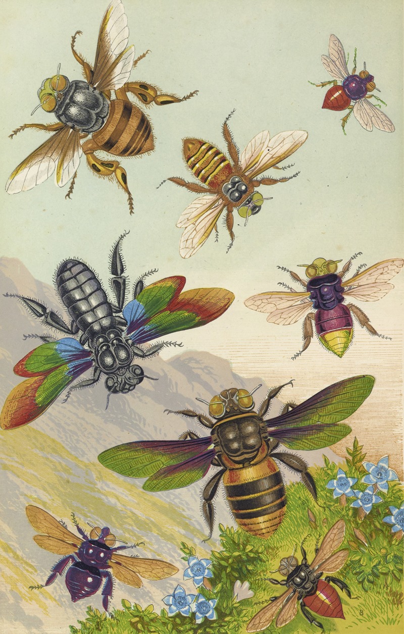 Beautiful Exotic Bees by Barret And Sons, 1871 — digital art print download
