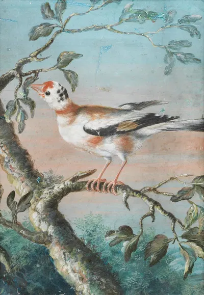 Ein Vogel Auf Einem Ast by Christoph Ludwig Agricola — digital art print download