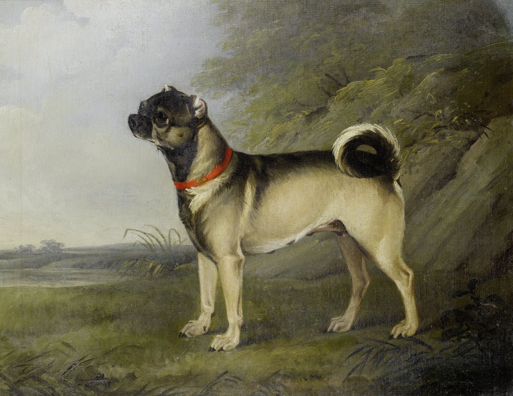 A Favourite Pug Bitch by Генри Бернард Шалон, 1802 — digital art print download