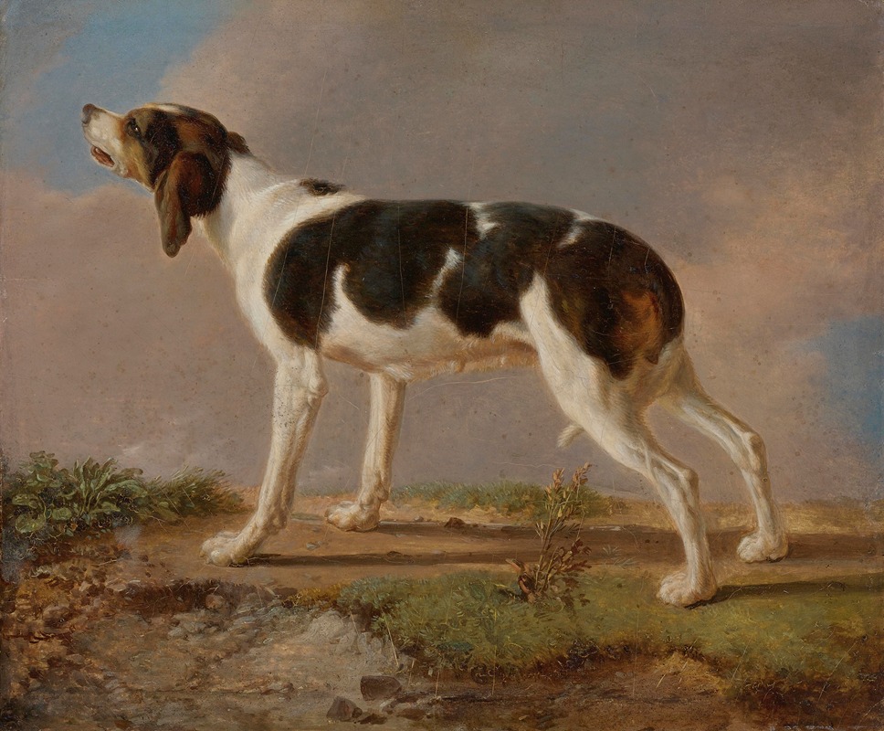 A Hunting Dog by Жак-Лоран Агаз — digital art print download