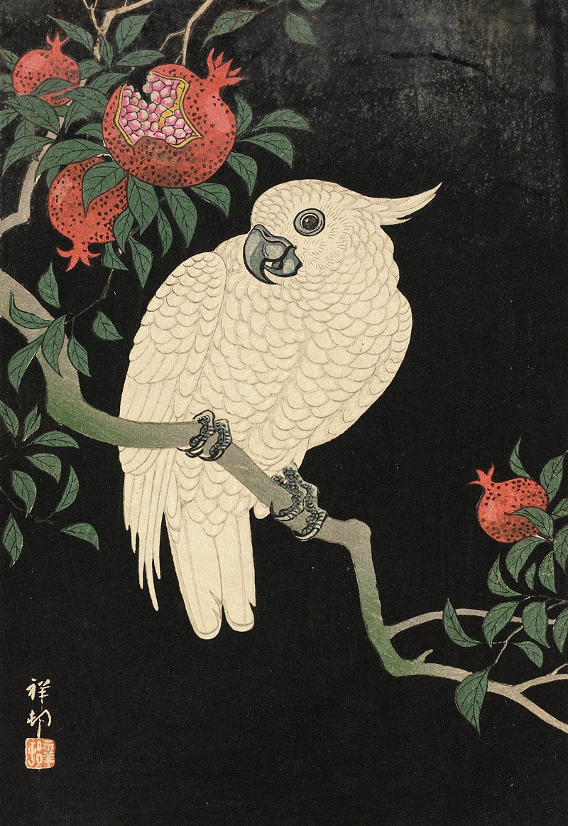Cockatoo And Pomegranate by Охара Косон — digital art print download