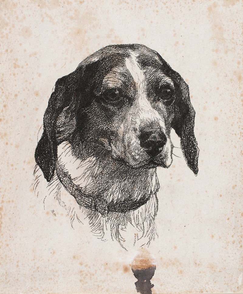 Et hundehoved by Alexander Blom, 1884 – 1885 — digital art print download