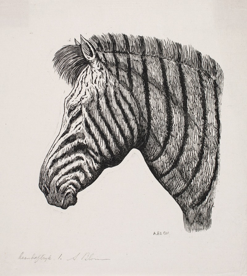 Hoved af en Zebra by Alexander Blom, 1859 – 1933 — digital art print download