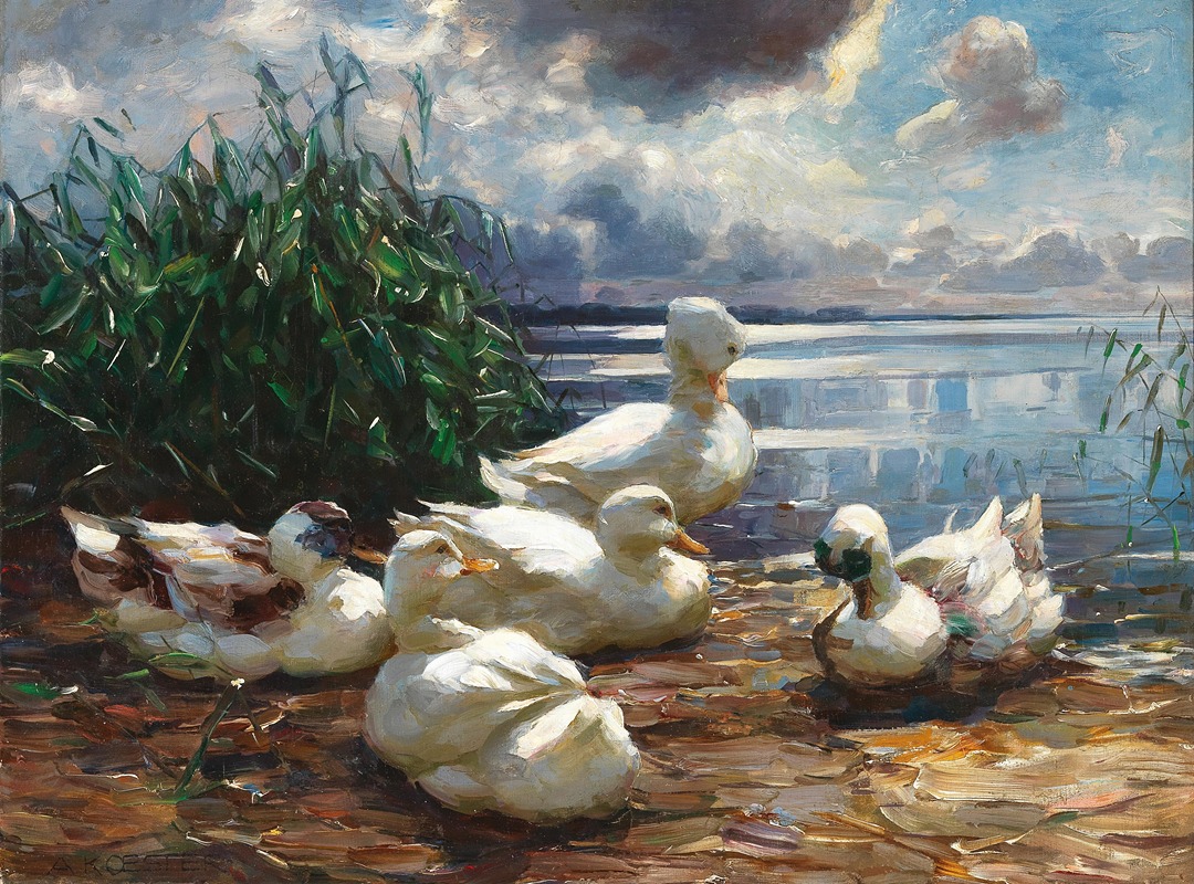 Ducks on Lake Chiemsee in a Brewing Storm — Alexander Koester