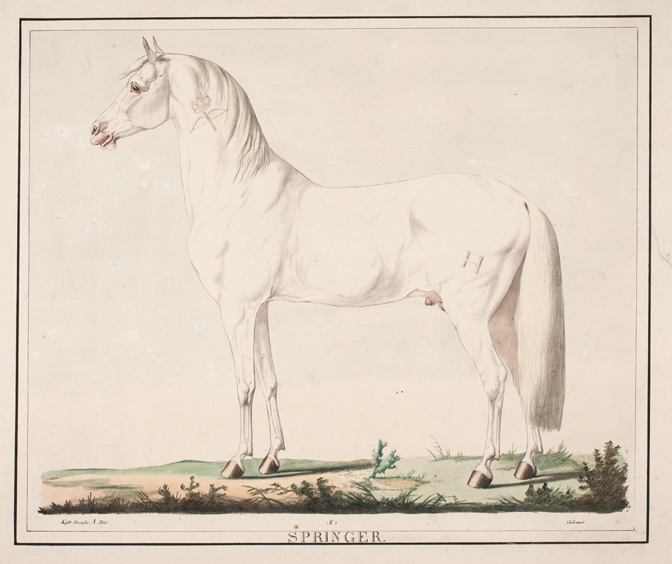 Hesten Springer by Christian David Gebauer, 1821 – 1822 — digital art print download