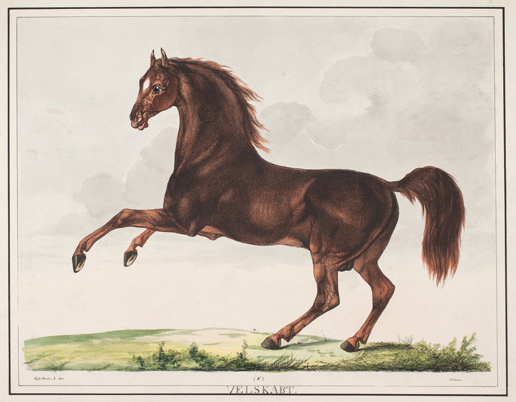 Hesten Velskabt by Кристиан Давид Гебауэр, 1821 – 1822 — digital art print download