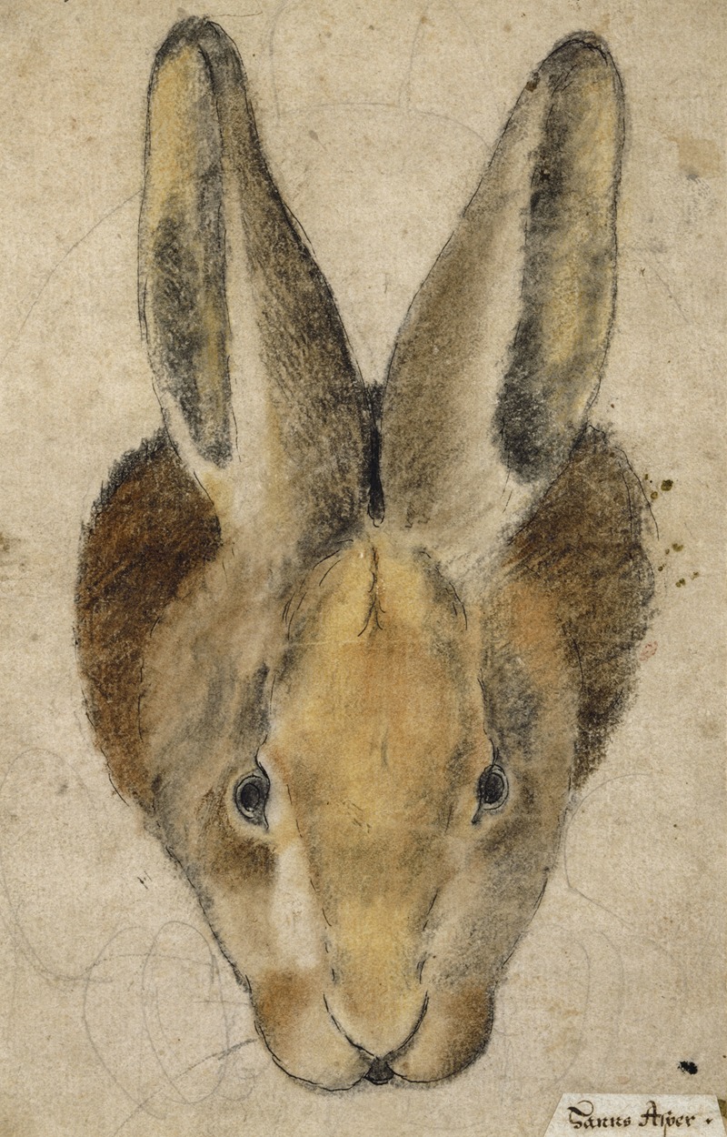 Hase von vorn by Ганс Аспер — digital art print download