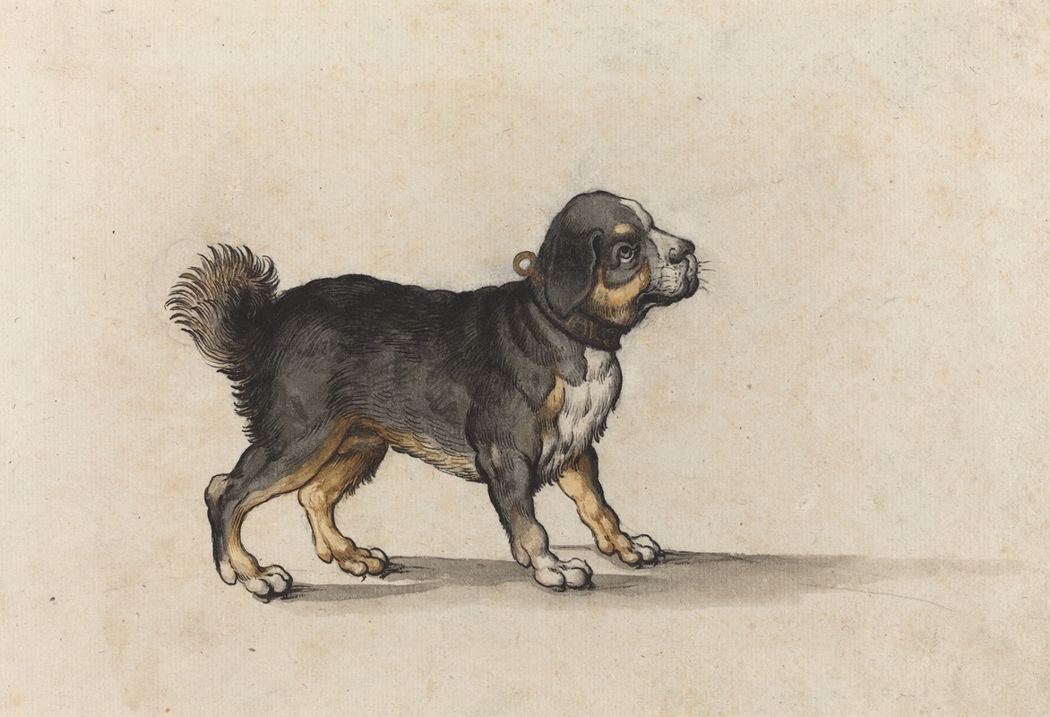 A Mastiff with a Gold-Tooled Collar by Jakob Walther — digital art print download