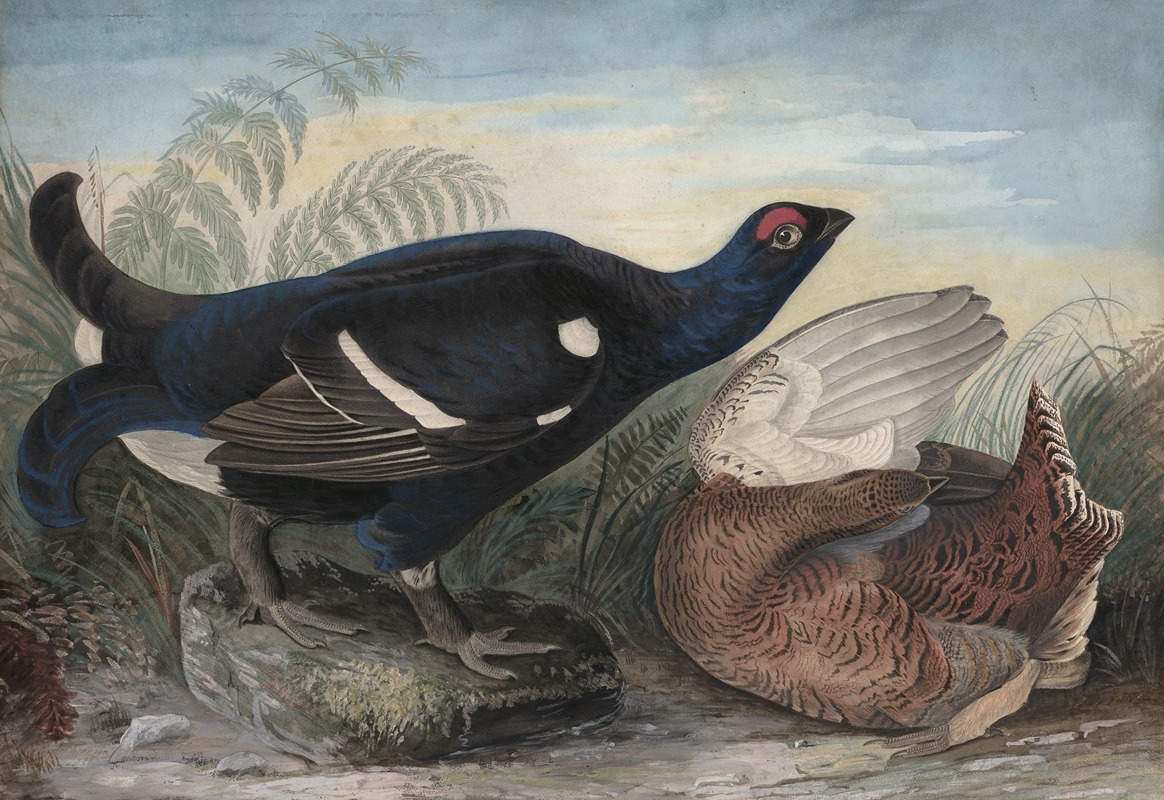 English Black Cocks by John James Audubon, 1828 — digital art print download