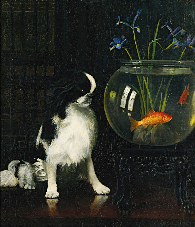 Japanese Chin And Goldfish — Alexander Pope Jr.