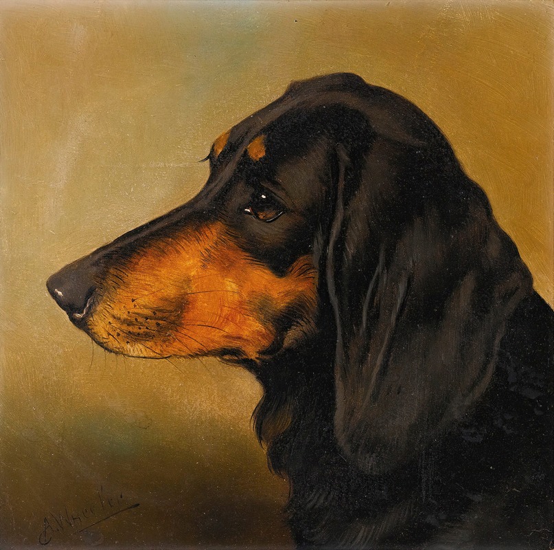 Head Study Of A Dachshund by Alfred Wheeler — digital art print download