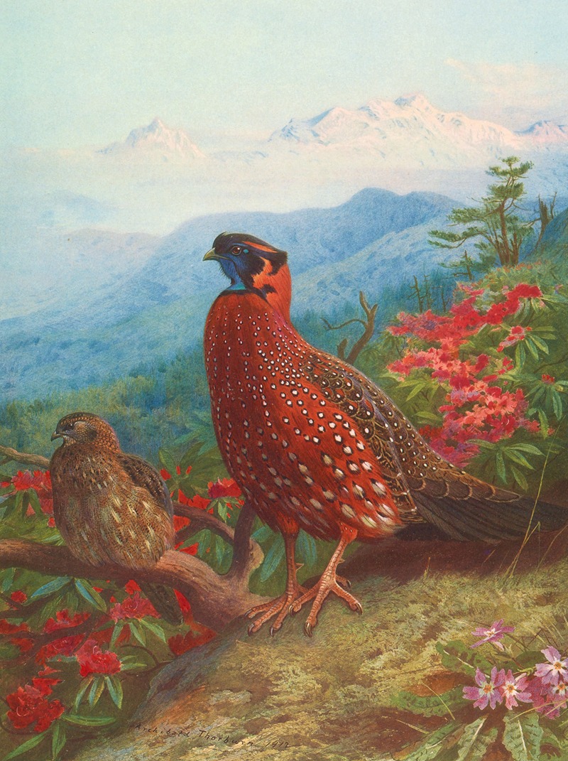 The Satyr Tragopan by Арчибальд Торберн, 1918-1922 — digital art print download