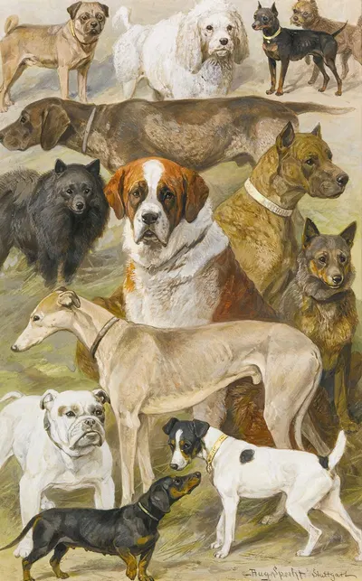 Dog Studies by August Specht — digital art print download