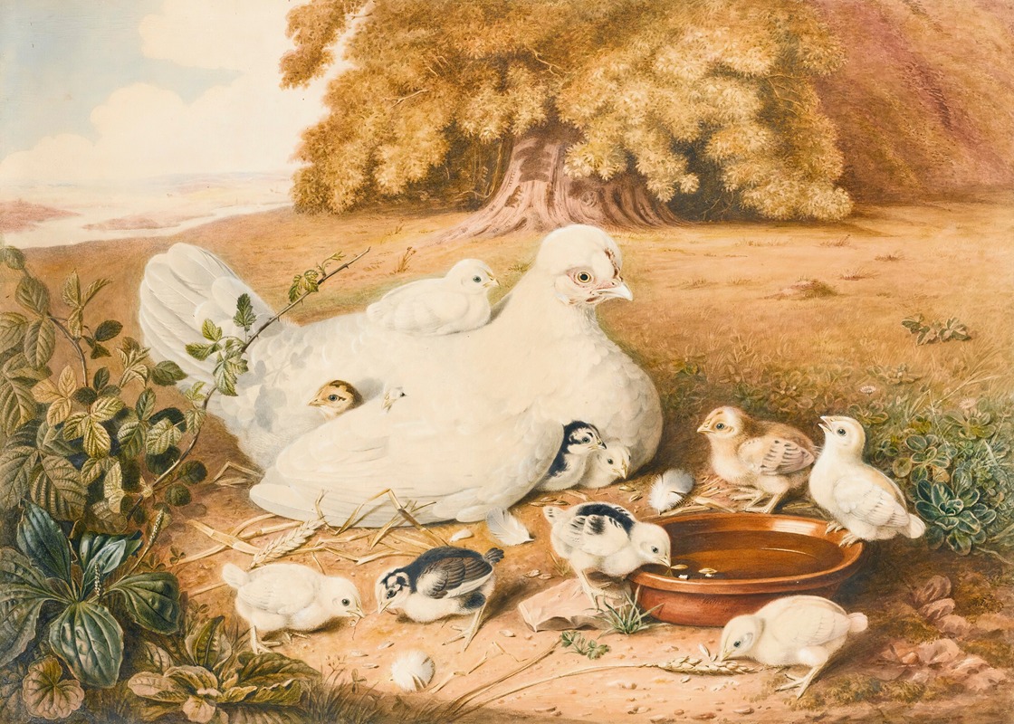A Hen With Her Chicks by Augusta Innes Withers, 1845 — digital art print download