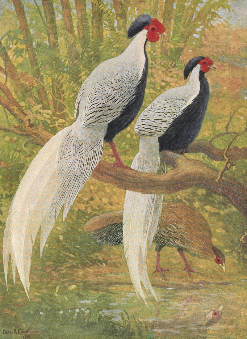 Chinese Silver Kaleege by Charles Robert Knight, 1918-1922 — digital art print download