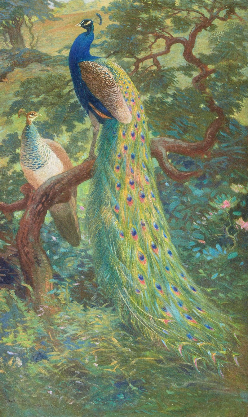 Indian Peafowl by Charles Robert Knight, 1918-1922 — digital art print download