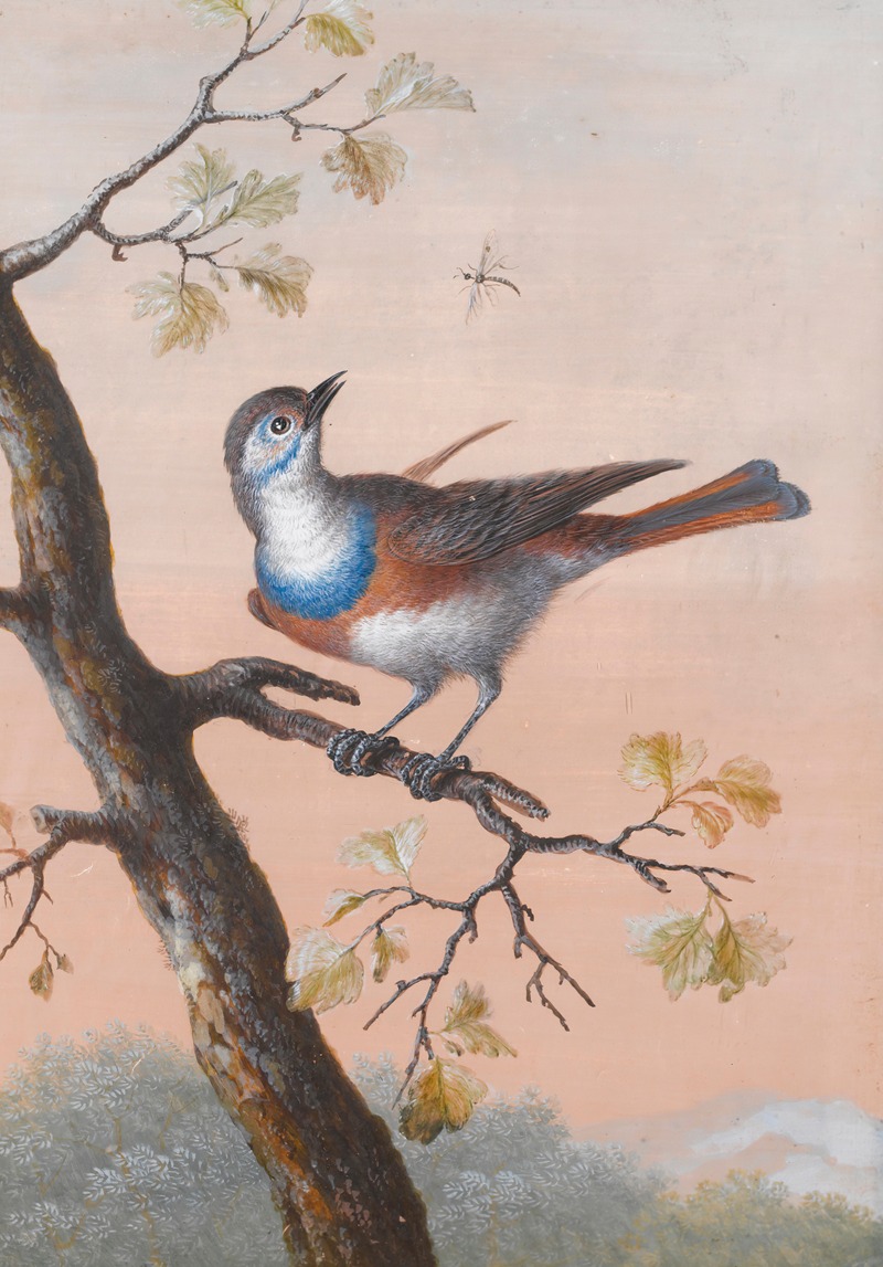 A Bluethroat by Christoph Ludwig Agricola — digital art print download