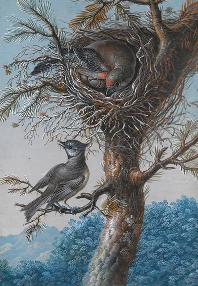 A Greater Redpoll And A Crested Tit by Christoph Ludwig Agricola — digital art print download