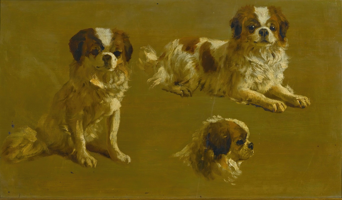 Study Of A King Charles Spaniel by Circle of Maud Earl — digital art print download