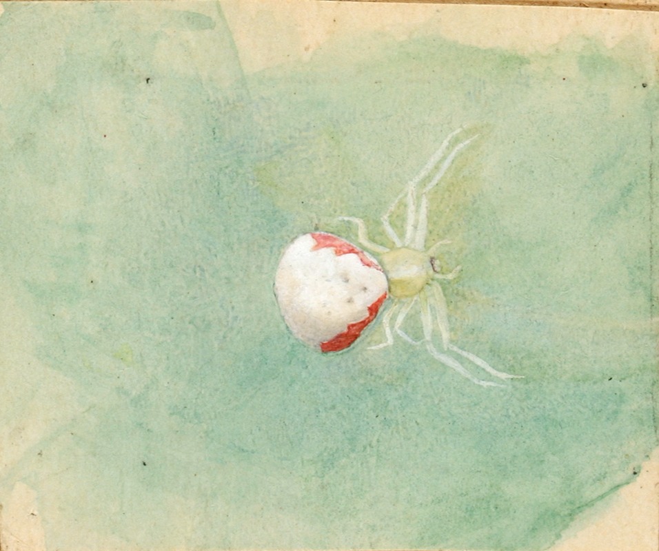 Porcelain-White Spider by Emma Beach Thayer — digital art print download