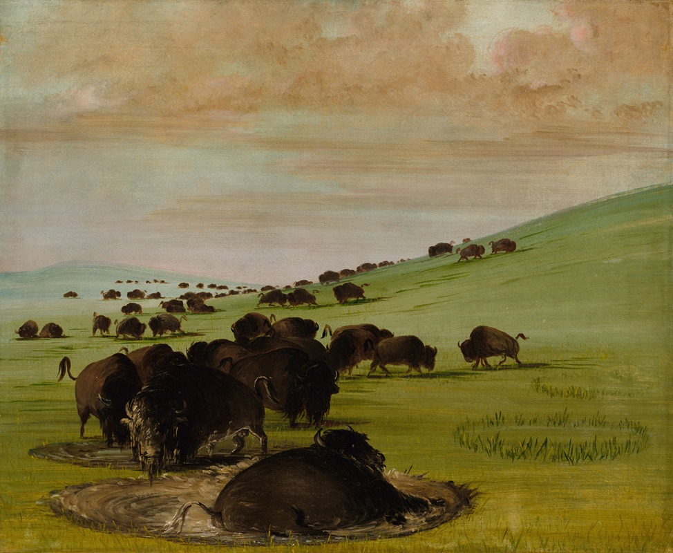 Buffalo Bulls in a Wallow by Джордж Кэтлин, 1837-1839 — digital art print download