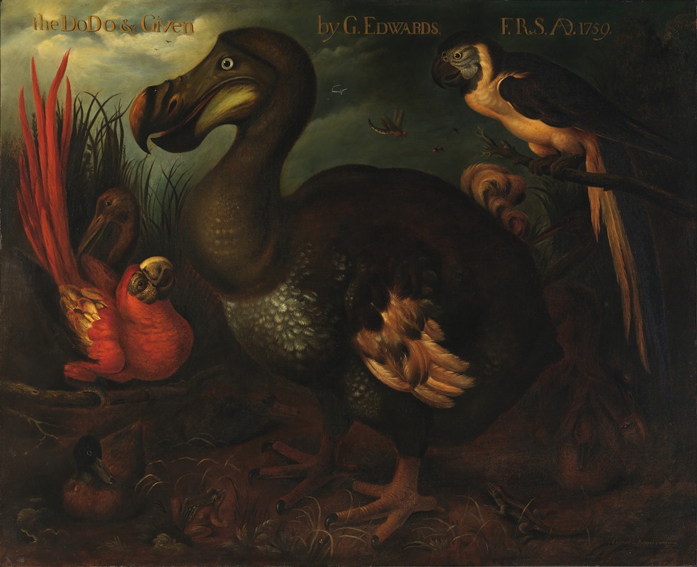 The Dodo and Given by Henrik Gronvold, 1905 — digital art print download