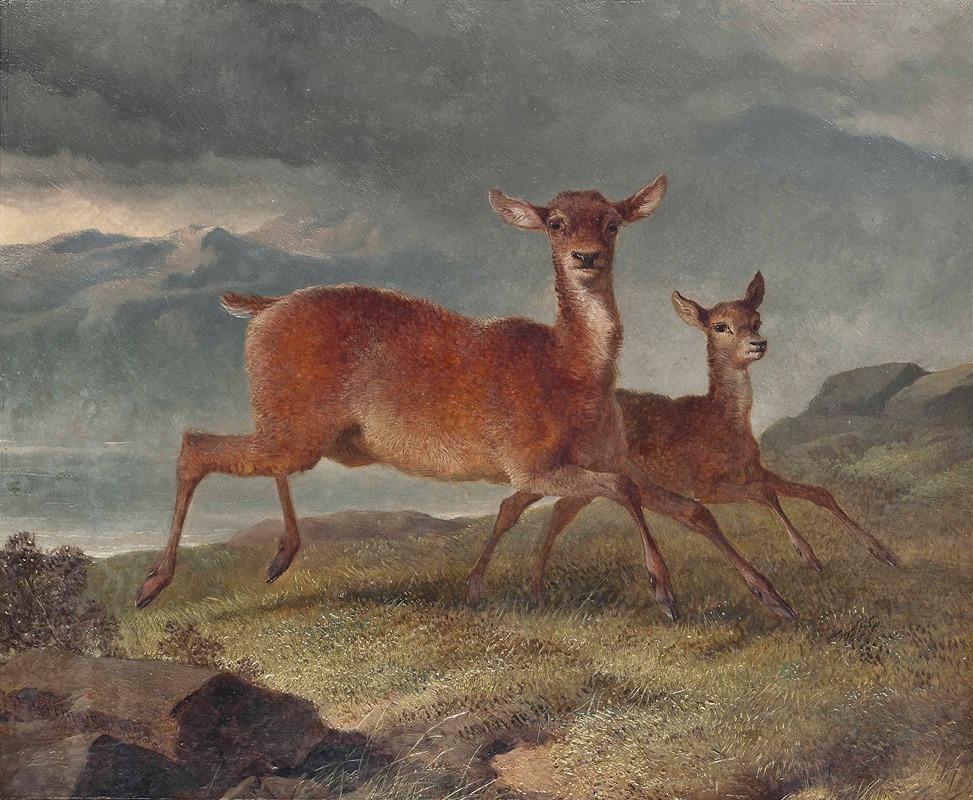 Red hind and calf by Джон Фредерик Херринг-старший, 1855 — digital art print download