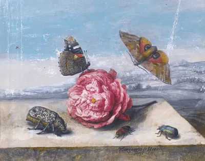 Still Life With Insects Around A Rose On A Stone Ledge by Маргарета де Хеер, 1655 — digital art print download