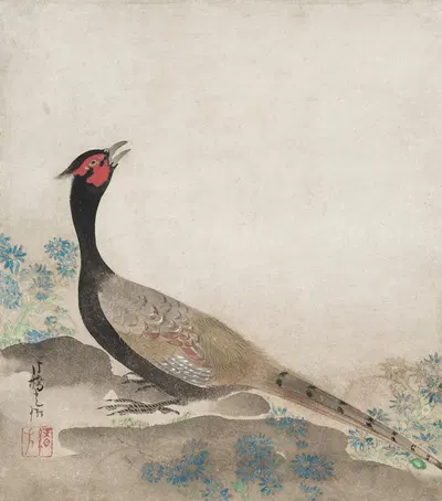 Pheasant by Ogata Kōrin, 1658-1716 — digital art print download
