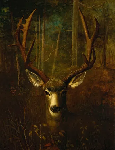 Stag Resting, Colorado Springs by Richard La Barre Goodwin — digital art print download